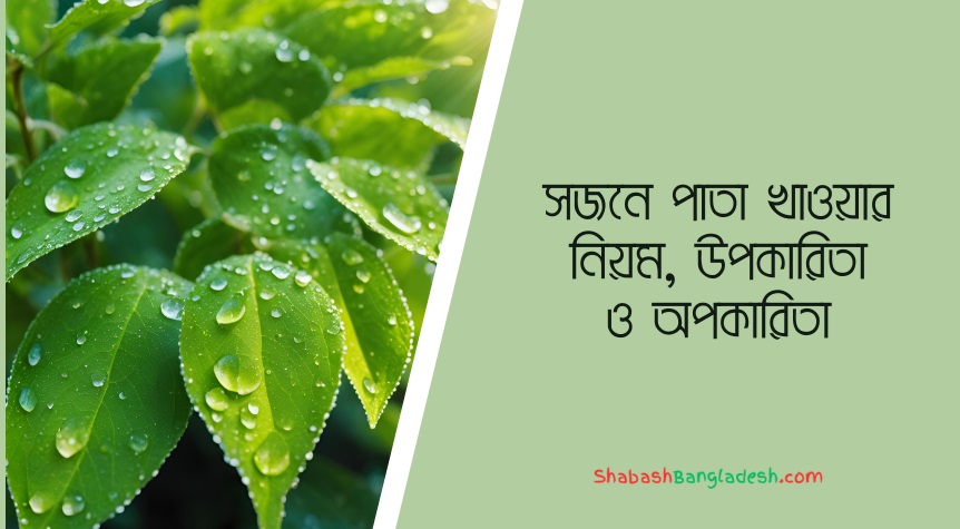 সজনে পাতা খাওয়ার নিয়ম, উপকারিতা ও অপকারিতা